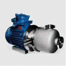 Пищевой насос центробежный ОНЦс 20/20К5-4.0/2